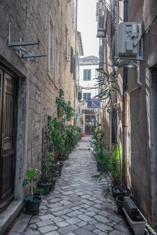 Sasha Di Cattaro - Old Town Lux Apartment Kültér fotó
